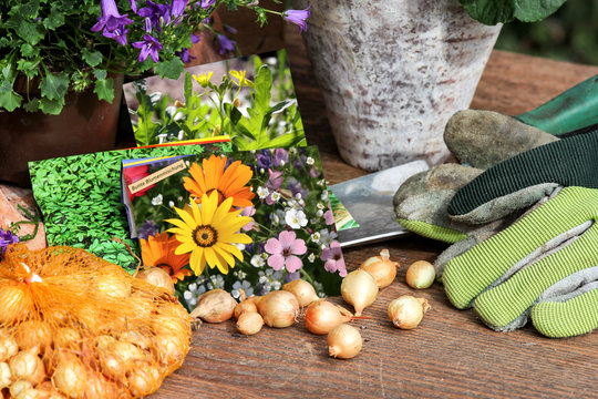 Saatgut, Steckzwiebeln und Gartenwerkzeug