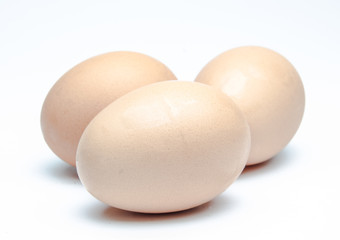 egg on a white background