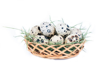 Obraz premium egg on a white background