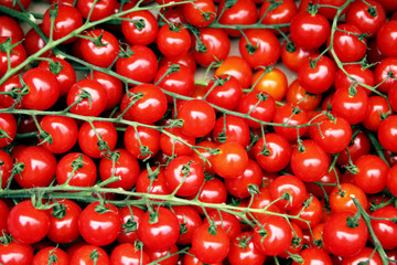 Small tomatoes background