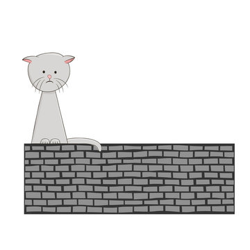 Sad lonely kitten