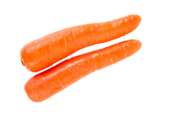 Carrot vegetable on white background