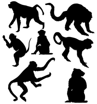 seven isolated monkey silhouettes