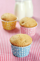 three muffins in colorful muffin