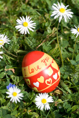 Red easter egg lying in springflower covered meadow