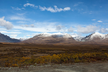 Fototapeta na wymiar Tundra w Fall