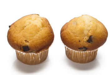 chocolate muffin isolated