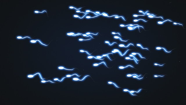 Close up of Sperm or Semen Moving Across the Screen