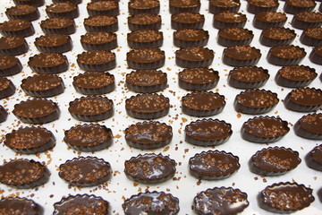 Sweets on a chocolate factory conveyor
