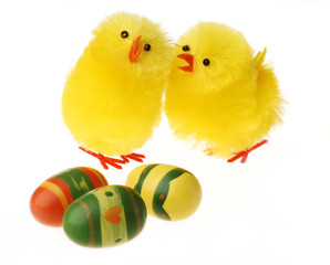 Two Easter Chicken communicating