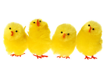 Row Of Easter Chicken