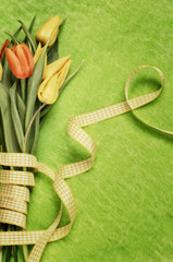 Bunch of Easter Tulips on Green Background