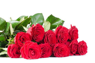 Bouquet of red roses isolated on white background