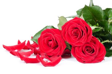 Bouquet of red roses isolated on white background