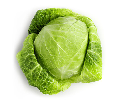 cabagge