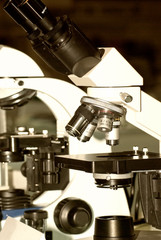 microscope