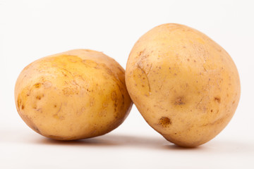 vegetables isolated on white