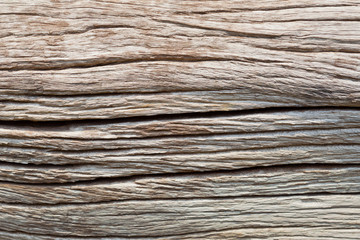 wood texture background