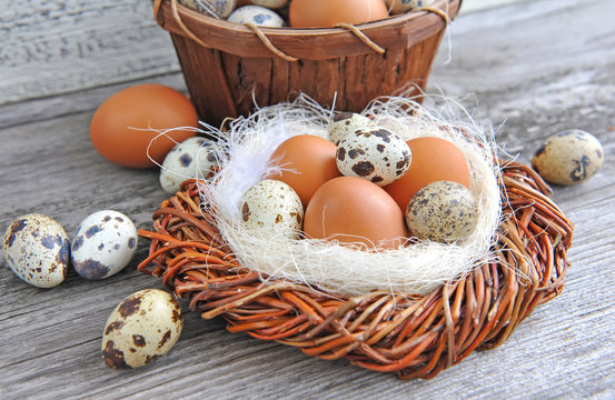 Different types of eggs in a nest on a old wooden background