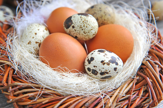 Different types of eggs in a nest on a old wooden background