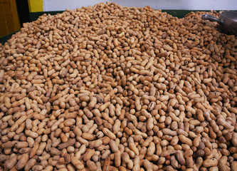 Fresh roasted peanuts