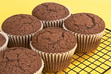 chocolate cupcake