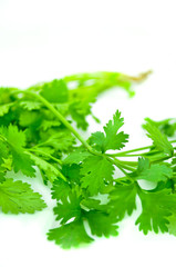 green leaves of parsley isolated on white background