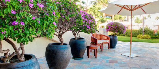 Tropical pool with luxury resort court yard.