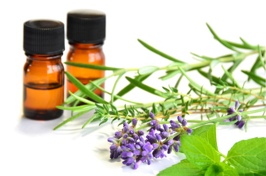 herbs and essential oils