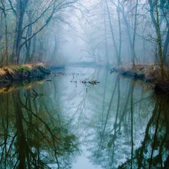  Misty Swamp © Laszlo