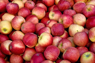 Äpfel auf em Wochenmarkt