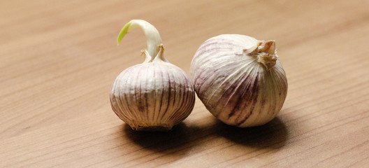 Knoblauch