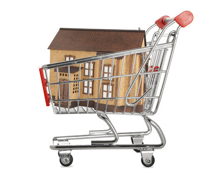 House in a shopping cart