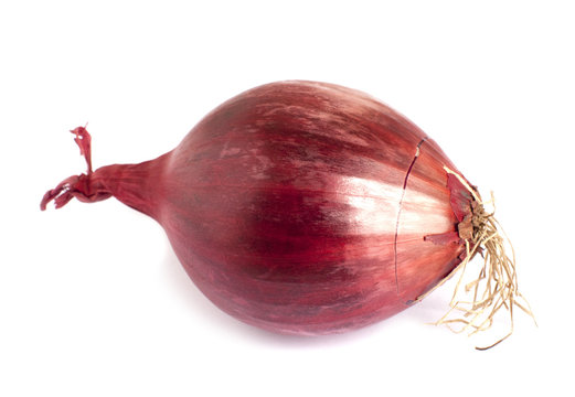 oignons rouge