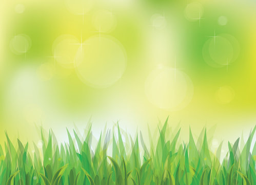 Vector of spring background with green grass.