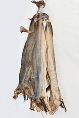 stockfish