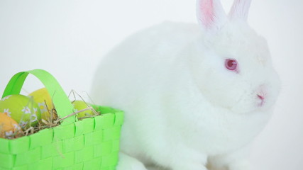 Easter bunny with basket of egg