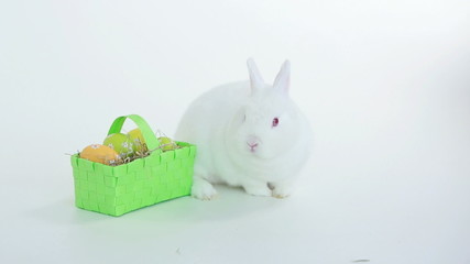 Bunny rabbit sniffing around wicker basket of easter eggs