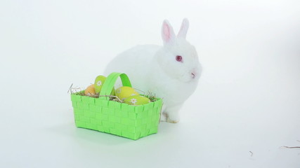 Bunny rabbit with wicker basket of easter eggs