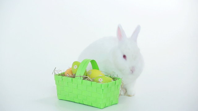 White bunny rabbit with wicker basket of easter eggs