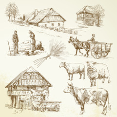 hand drawn set - rural landscape, village, farm animals