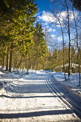 village Harrachov  in wintertime, Czech Republic