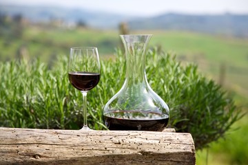 Red wine in a wine carafe and a wine glass in vineyard