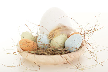 Bird's nest