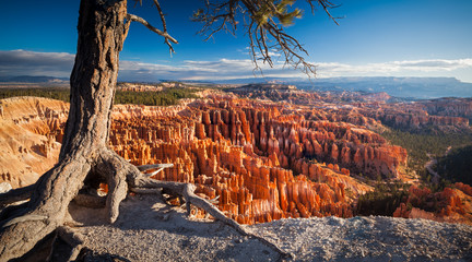 Bryce Canyon National Park USA