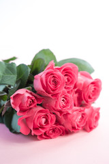 Bouquet of pink roses