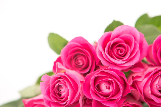 Close up of a beautiful bouquet of pink roses on a white backgro