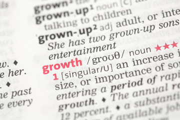 Fototapeta premium Growth definition