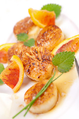 Fresh scallops on a plate