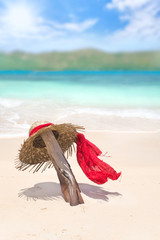 Sonnenhut am Strand